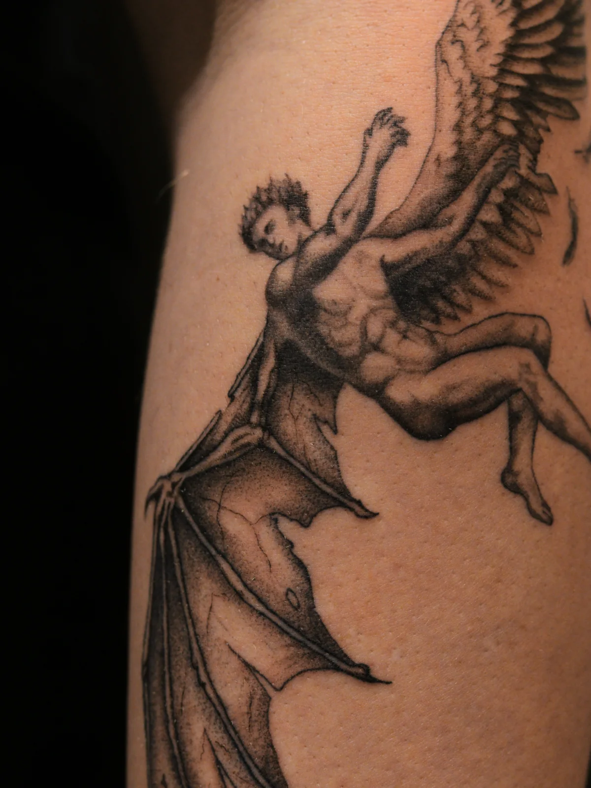 Close-up of the falling Lucifer tattoo with detailed anatomy, feathered wing and dark membranous wing, Prague by Andrey Kovalov